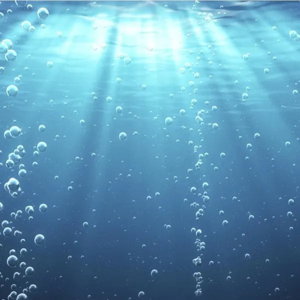 Biologiczne oczyszczanie ścieków